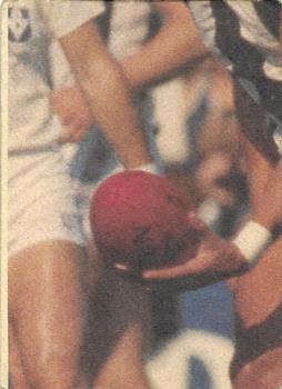 1985 Scanlens VFL #42 Greg Phillips Back